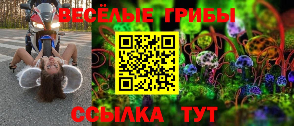 Галлюциногенные грибы Magic Shrooms Барнаул